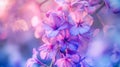 Generative AI Close up Jacaranda flower season blooming from October to November in Austalia business concept. Royalty Free Stock Photo