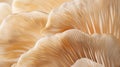 Generative AI Close up of mushroom gills Abstract nature background macro shot of oyster mushroom gills business c Royalty Free Stock Photo