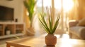 Generative AI close up of reed diffuser and house plant aloe vera on wooden table in bright living room with scand Royalty Free Stock Photo