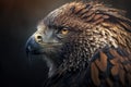 Generative AI. Close-up of Striated Caracara against clear background