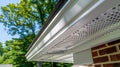 Generative AI Close up of white frame gutter guard system eaves through fascia drip edge colonial white soffit wit