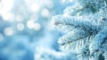 Generative AI Closeup of Frosty Pine Branches in a Winter Wonderland Setting business concept.