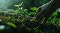 Generative AI Closeup of Human Hand Grabbing Vegetation and Soil in Nature Concept of Loving Nature business conce