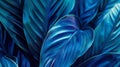 Generative AI Closeup macro nature exotic bright blue green leave texture tropical Jungle plant backgroundCurve le Royalty Free Stock Photo