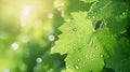 Generative AI closeup of raindrops on grape leaves business concept. Royalty Free Stock Photo