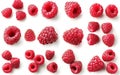 Generative AI Collection or set of various fresh ripe raspberries isolated on white background business concept. Royalty Free Stock Photo