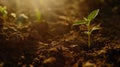 Generative AI Concept of business growth, profit, development and success. Seedling are growing from the rich soil Royalty Free Stock Photo