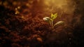 Generative AI Concept of business growth, profit, development and success. Seedling are growing from the rich soil Royalty Free Stock Photo