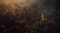 Generative AI Concept of business growth, profit, development and success. Seedling are growing from the rich soil Royalty Free Stock Photo