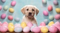 Generative AI concept of Catholic Easter and pets. A charming labrador retriever puppy with colored Easter eggs. Front