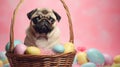 Generative AI concept of Catholic Easter and pets. A charming pug puppy in wicker basket full of colored Easter eggs Royalty Free Stock Photo