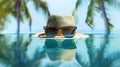 Generative AI concept vacation and summer travel banner Happy holidays on sandy tropical sea beach Panama hat and Royalty Free Stock Photo