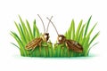 Couple_of_Grasshopper_on_grass_1690601804483_5