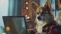 Generative AI Cute corgi dog looking into computer laptop working in glasses and shirt business concept. Royalty Free Stock Photo