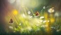 Generative AI. Daisy perennial flowers with butterflies in a sunny garden , out of focus , blurred focus