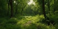 Generative AI. Deciduous forest and forest road. Spring landscape Royalty Free Stock Photo