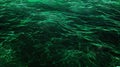 Generative AI Deep green water background Light ripples and waves on the water surface Beautiful green background Royalty Free Stock Photo