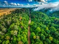 A Generative AI Depiction of Rainforest Deforestation Visualizing the Devastating Impact of Illegal Logging from Above Royalty Free Stock Photo