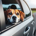 Generative AI, Dog looking out of open car window