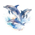 dolphin4