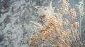 Generative AI Dried flowers bouquet close up dried herbs at gray marble background preserved field reed grass Cala