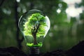 Generative AI. An electric light bulb and a tree inside it. On a green grass background. The concept of energy saving Royalty Free Stock Photo