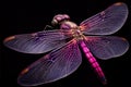 Generative AI: extreme close up of adragonfly, macro bright colors