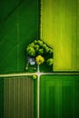 Generative AI, Farm landscape, agricultural fields, beautiful countryside, country road. Royalty Free Stock Photo