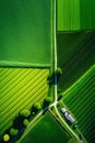 Generative AI, Farm landscape, agricultural fields, beautiful countryside, country road. Royalty Free Stock Photo