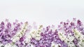 Generative AI Flowers composition Border made of lilac and white flowers Flat lay top view copy space business con