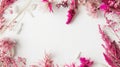 Generative AI Flowers composition Frame made of pink dried flowers and leaves on white background Top view flat la Royalty Free Stock Photo