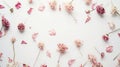 Generative AI Flowers composition Frame made of pink dried flowers and leaves on white background Top view flat la Royalty Free Stock Photo