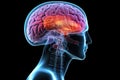 fractal motley light brain grafic, cognitive skills, brain neurons nerve synapses, learning habit, mindset knowledge accumulation