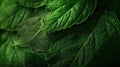 Generative AI Fresh green leaf texture macro closeup business concept. Royalty Free Stock Photo