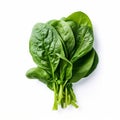 fresh_green_leaves_spinach_or_pak_choi_1696417316033_2