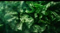 Generative AI Fresh green lettuce closeup selective focus business concept.