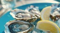 Generative AI Fresh Oysters closeup on blue plate served table with oysters lemon and ice Healthy sea food Oyster Royalty Free Stock Photo