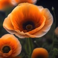 Generative AI: Fresh poppy flower scolored in shades of yellow close up in the meadow