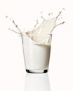 Food_Fresh_Pure_Milk_Illustration1_5