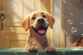 Generative AI Funny dog sitting in bathroom waiting for grooming. Banner for pet shop, grooming salon. A charming happy