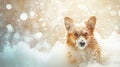 Generative AI Funny portrait of a welsh corgi pembroke dog showering with shampoo. Dog taking a bubble bath in gro Royalty Free Stock Photo