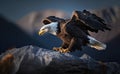 A bald eagle lands on a rock, side view, blurred blue sky and rocky mountain background, generative AI Royalty Free Stock Photo