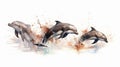 Generative AI, Graceful Leaps: Watercolor Drawing of Dolphins in Mid-Air