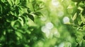 Generative AI Green blurry trees leaves abstract background motion blur banner business concept. Royalty Free Stock Photo