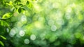 Generative AI Green color abstract blur bokeh background from tree and light in natural garden business concept. Royalty Free Stock Photo