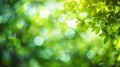 Generative AI Green color abstract blur bokeh background from tree and light in natural garden business concept. Royalty Free Stock Photo