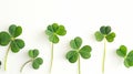 Generative AI Green four leaf clover creative layout isolated on white background Lucky clover banner border compo Royalty Free Stock Photo