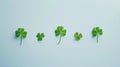 Generative AI Green four leaf clover creative layout isolated on white background Lucky clover composition  St Pat Royalty Free Stock Photo