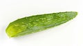 Generative AI Green fresh aloe vera leaf with aloevera slice isolated on white background Top view Flat lay busine Royalty Free Stock Photo