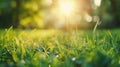 Generative AI green grass blurred background with sun rays in park meadow business concept. Royalty Free Stock Photo